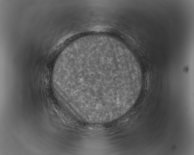 X0000115601158200912081106