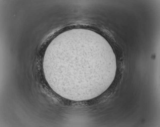 X0000115601159200912081106