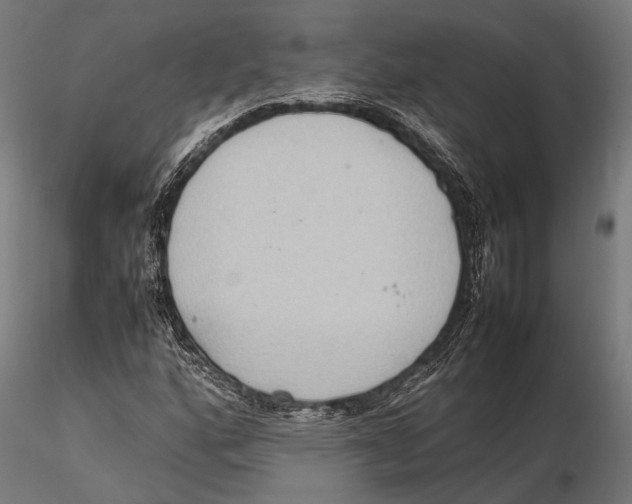 X0000115601160200912081106