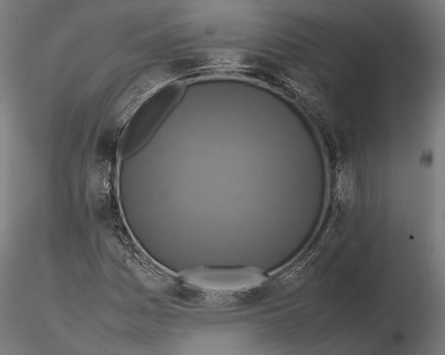 X0000115601161200912081106