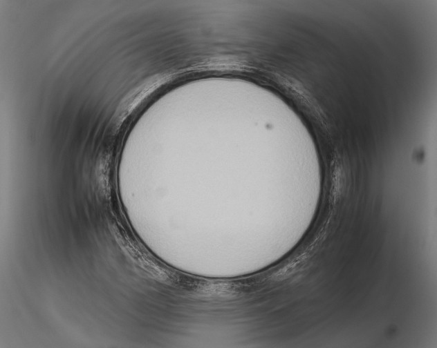 X0000115601162200912081106