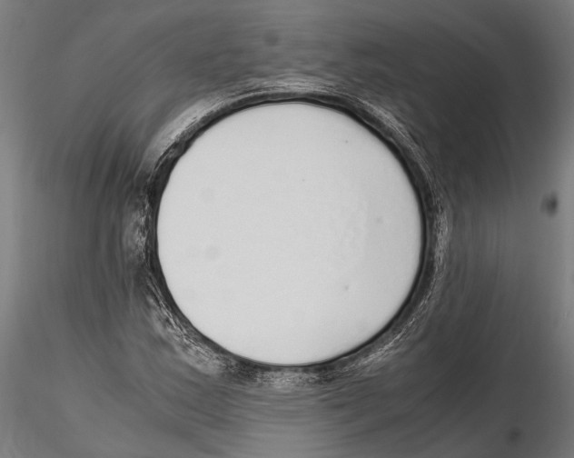 X0000115601163200912081106