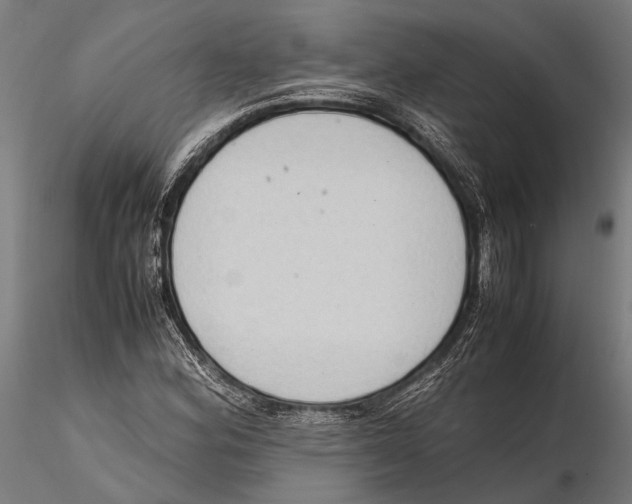 X0000115601164200912081106