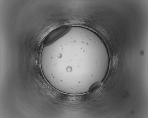 X0000115601165200912081106