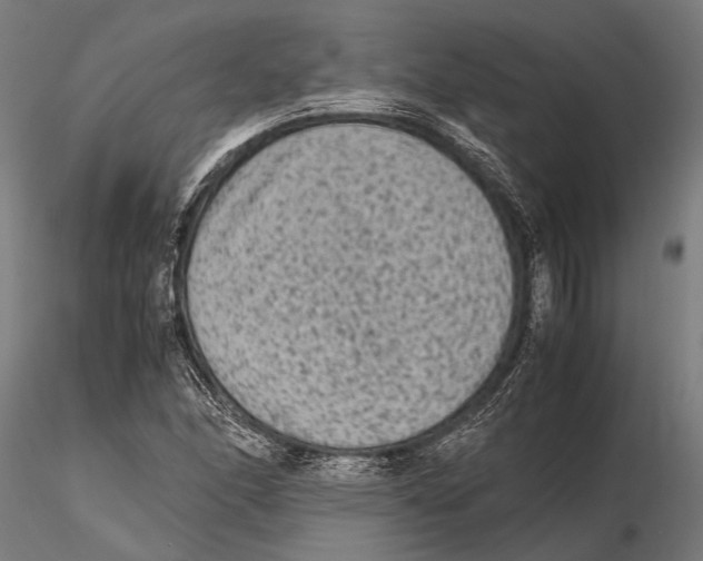 X0000115601166200912081106