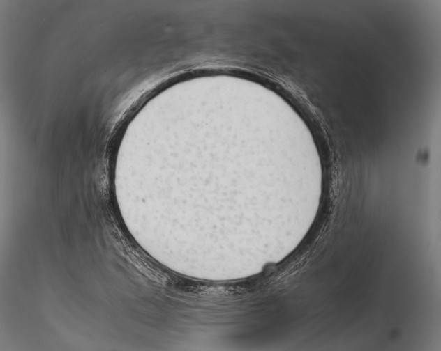 X0000115601167200912081106