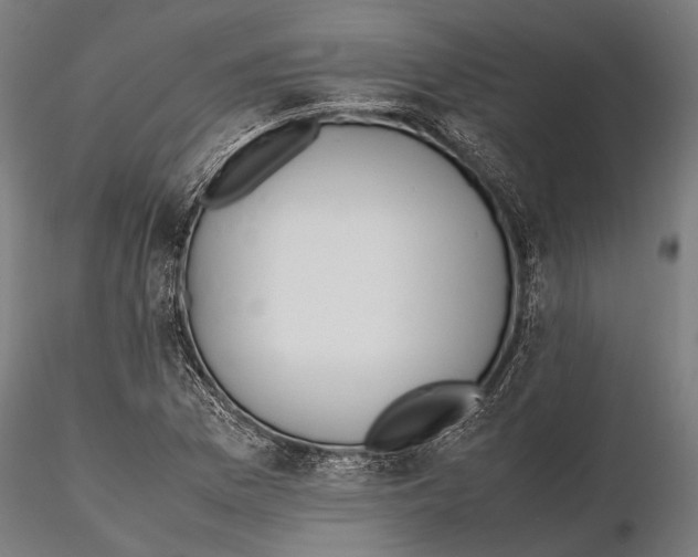 X0000115601169200912081106