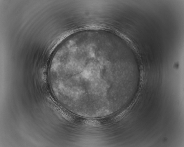 X0000115601170200912081106