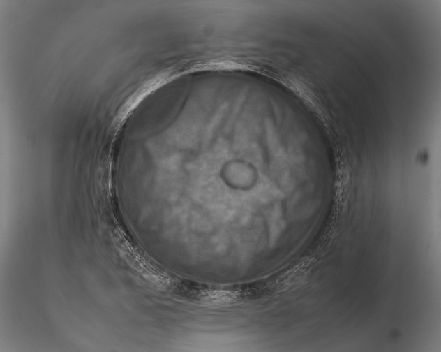 X0000115601173200912081106