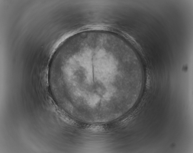 X0000115601174200912081106