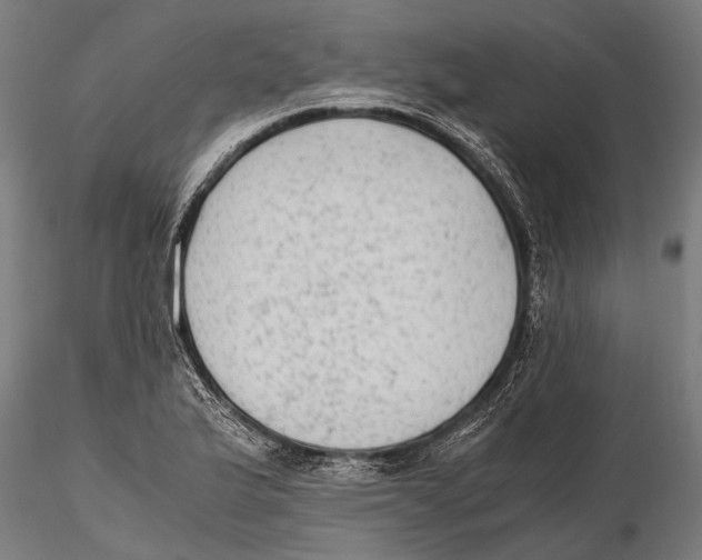 X0000115601175200912081106