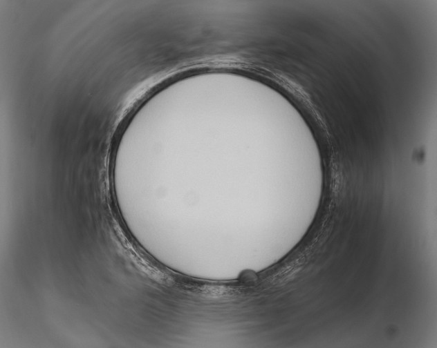 X0000115601176200912081106