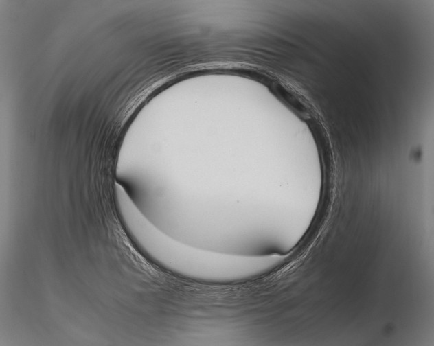 X0000115601177200912081106