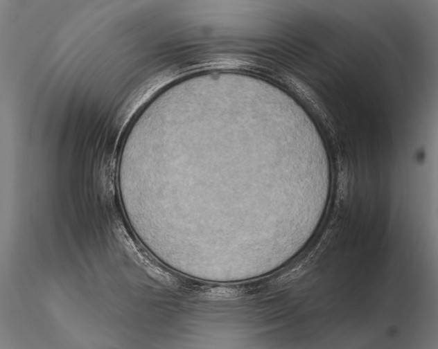 X0000115601178200912081106