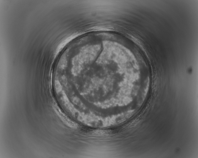 X0000115601179200912081106