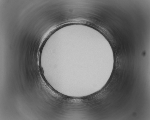 X0000115601180200912081106