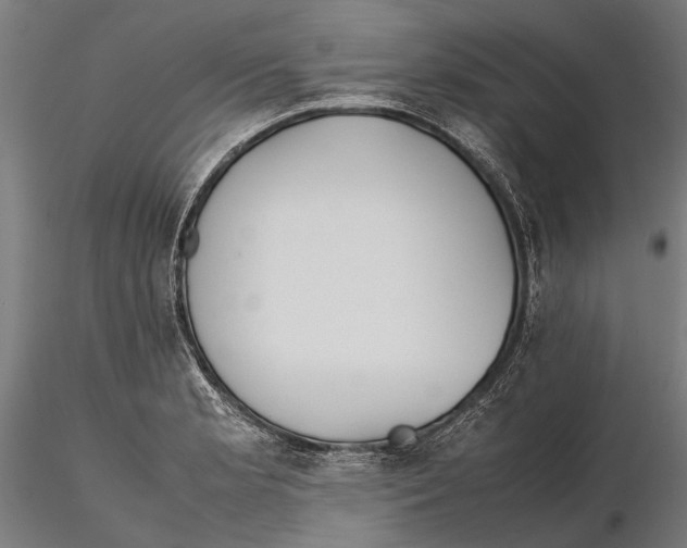 X0000115601181200912081106