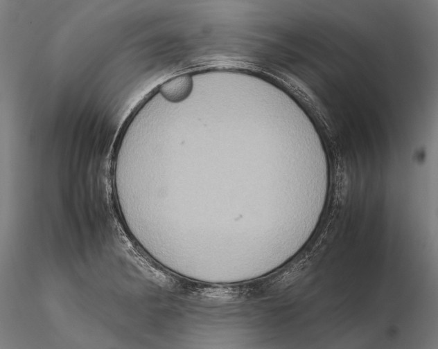 X0000115601182200912081106