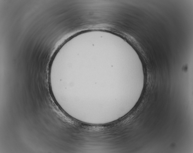 X0000115601184200912081106