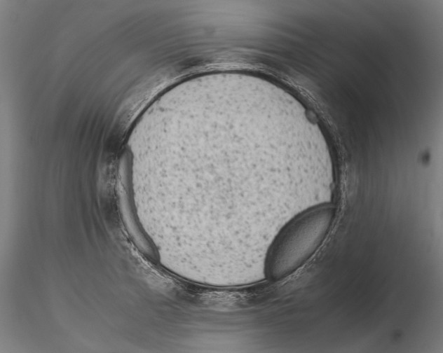 X0000115601185200912081106