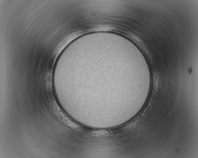 X0000115601186200912081106