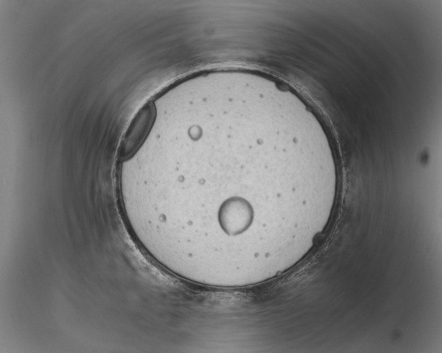 X0000115601189200912081106