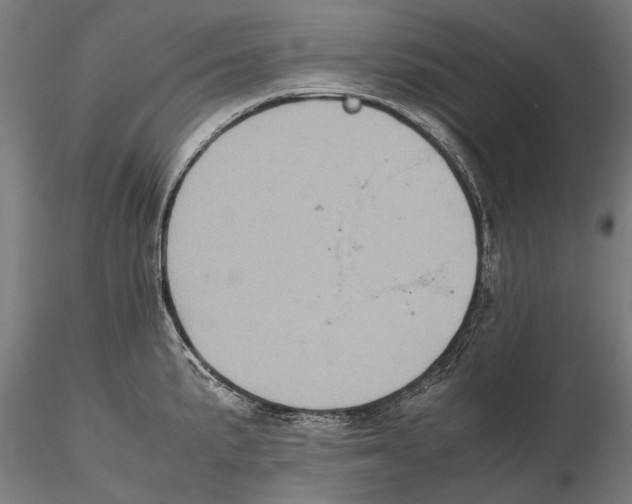 X0000115601191200912081106