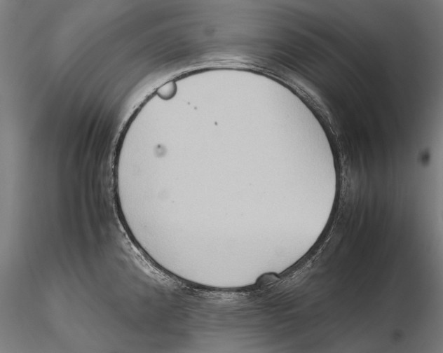 X0000115601192200912081106