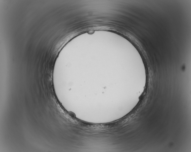 X0000115601193200912081106