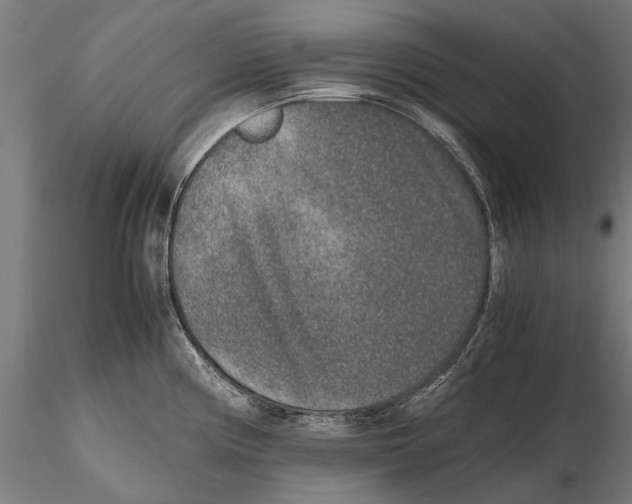 X0000115601194200912081106