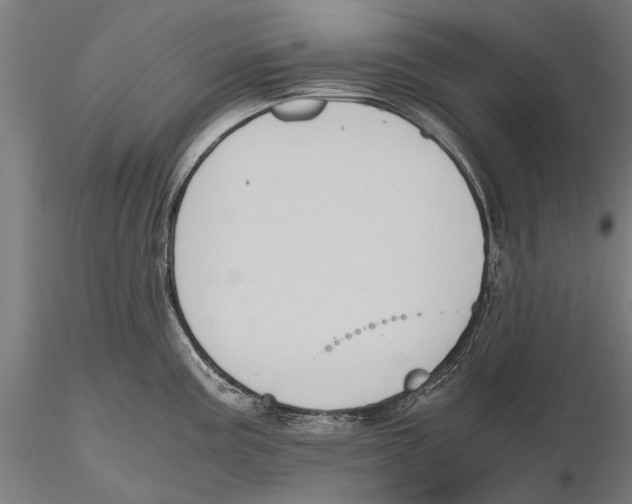 X0000115601195200912081106