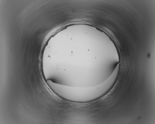 X0000115601196200912081106