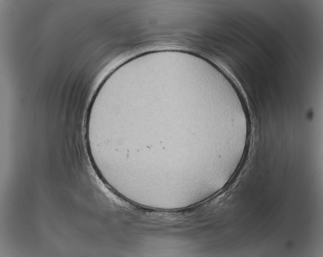 X0000115601197200912081106