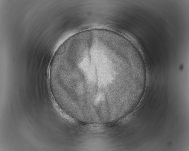 X0000115601198200912081106