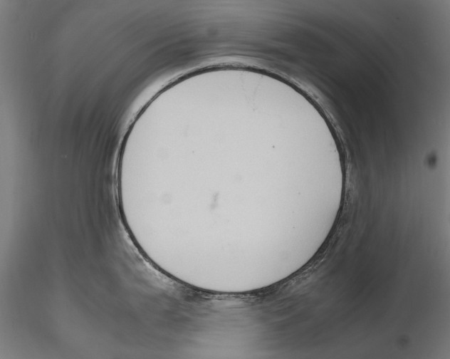 X0000115601199200912081106