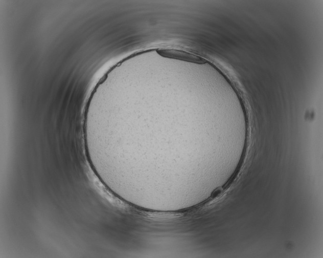 X0000115601200200912081106