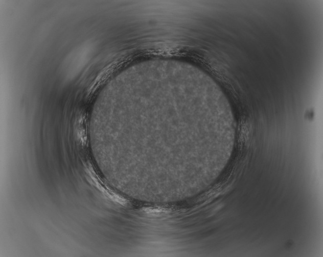 X0000115601202200912081105