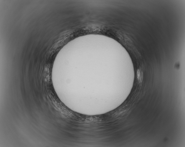 X0000115601203200912081105