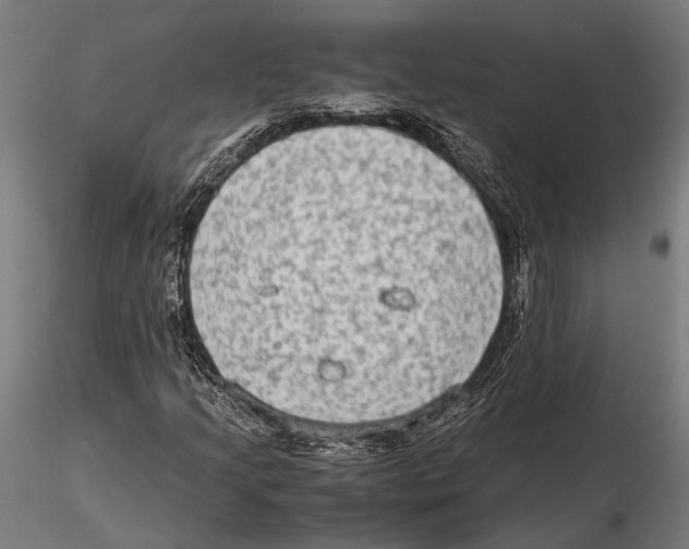 X0000115601205200912081105