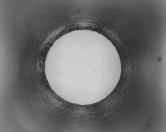 X0000115601207200912081105