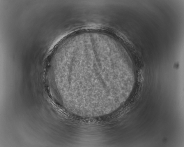 X0000115601208200912081105