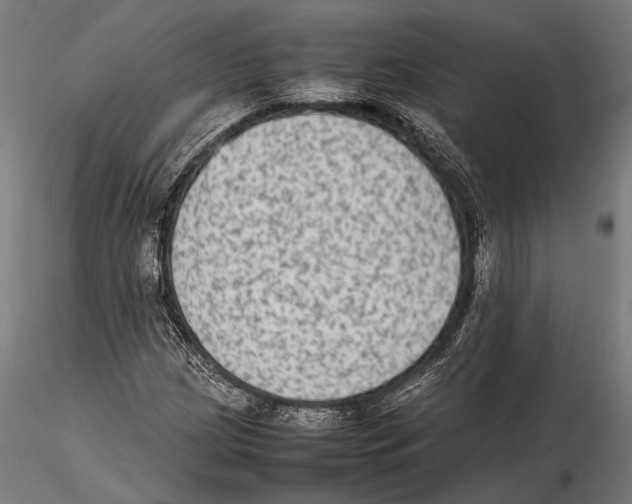 X0000115601209200912081105