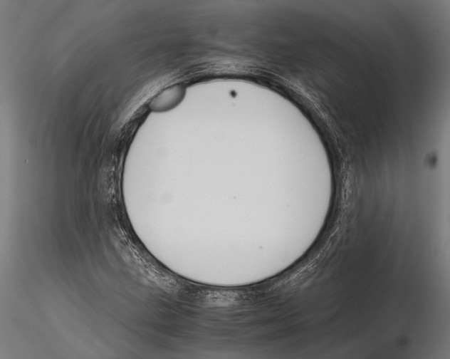 X0000115601211200912081105