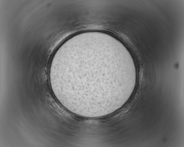 X0000115601212200912081105