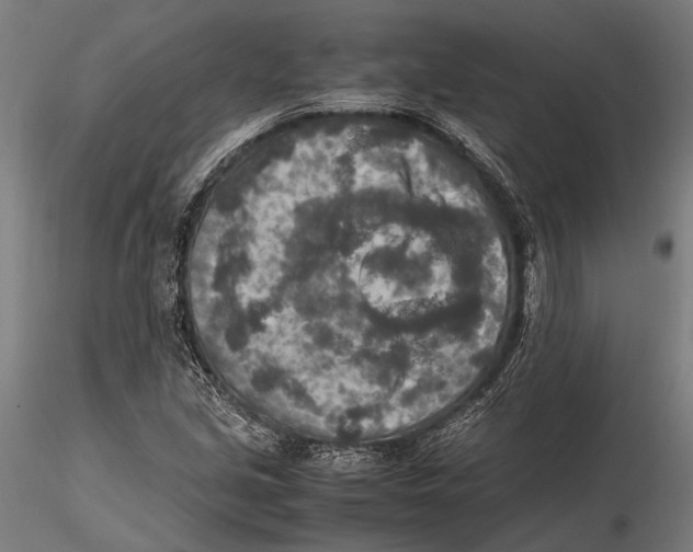 X0000115601213200912081105