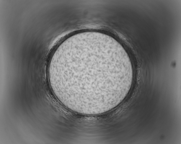 X0000115601214200912081105