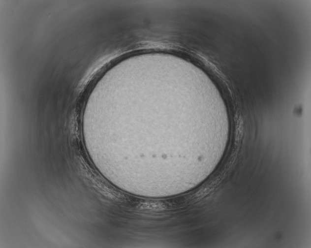 X0000115601215200912081105