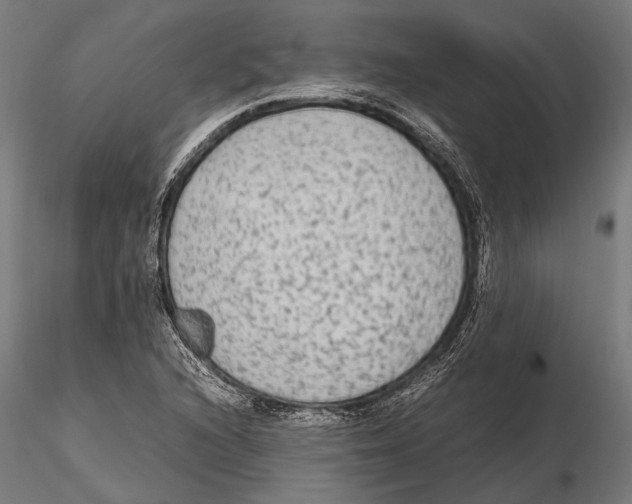 X0000115601216200912081105