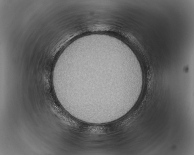 X0000115601217200912081105