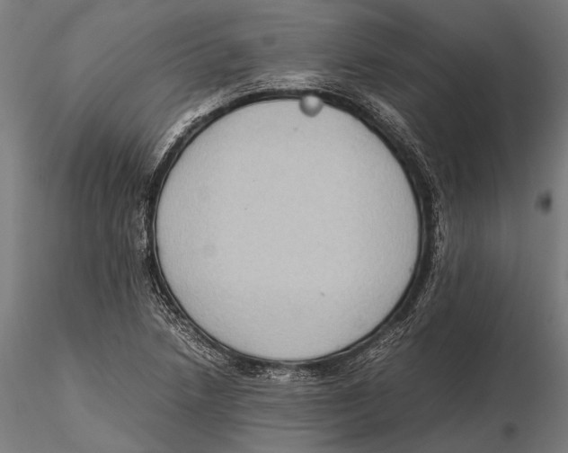 X0000115601218200912081105